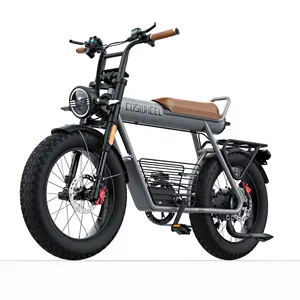 美国仓库1500瓦电动越野车工厂供应商25Ah锂电池脂肪Ebike 48V 1000瓦电动混合自行车