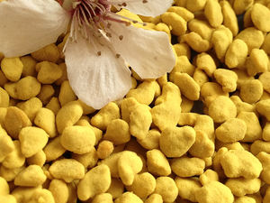 Bolsa <span class=keywords><strong>de</strong></span> Embalaje, Bolsa <span class=keywords><strong>de</strong></span> Papel <span class=keywords><strong>de</strong></span> Aluminio, Polen <span class=keywords><strong>de</strong></span> Abeja Particulado Naranja, <span class=keywords><strong>Pan</strong></span> <span class=keywords><strong>de</strong></span> Abeja, <span class=keywords><strong>Precio</strong></span> - Product Image 5