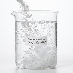 <span class=keywords><strong>Engrais</strong></span> azoté pour plantes, granulés cristallins de sulfate d'ammonium pour la croissance des bleuets et des camélias, 500g, livraison gratuite - Product Image 2