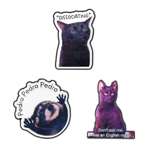 Broches de Esmalte con Diseño de Pedro Mapache Bailarín de Dibujos Animados, Pin de Solapa con la Leyenda 'No Me Preguntéis, Estudié Inglés', Joyería de Regalo - Product Image 1