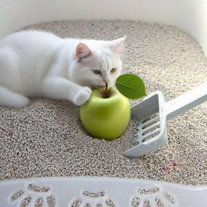 DongnaiPETS OEM ODM Vente en gros d'usine Premium 4kg Kitty Contrôle des odeurs Agglutination rapide Litière pour chat bentonite sans poussière Sable - Product Image 1