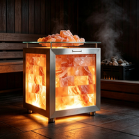 Armoire en acier inoxydable avec cubes de sel de l'Himalaya éclairés par LED, écologique, pour l'halothérapie en spa et la décoration intérieure