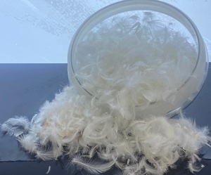 Plumes <span class=keywords><strong>d</strong></span>'<span class=keywords><strong>oie</strong></span> lavées en usine chinoise, <span class=keywords><strong>duvet</strong></span> de canard blanc, <span class=keywords><strong>prix</strong></span> <span class=keywords><strong>au</strong></span> <span class=keywords><strong>kg</strong></span>, <span class=keywords><strong>duvet</strong></span> <span class=keywords><strong>d</strong></span>'<span class=keywords><strong>oie</strong></span>, piume, federn, plume pour rembourrage - Product Image 3