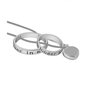 Tùy chỉnh tên để kỷ niệm những người thân yêu vật nuôi mèo và chó thép không gỉ Mặt dây chuyền hình trái tim tro trang sức - Product Image 6