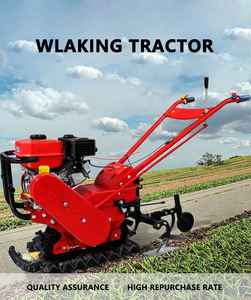 Kleine huishoudelijke cultivator op benzine met onkruidfreesfunctie voor olijven, zoete aardappelen en tuinbouw. - Product Image 6