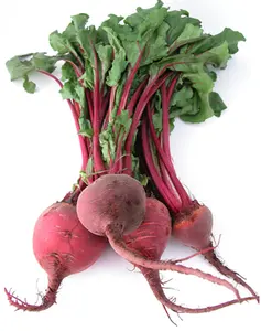 High Quality Pure Natural Beet Root Powder