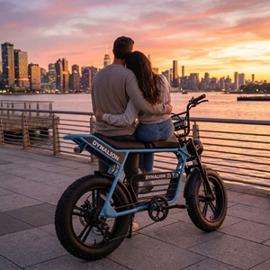 Vélo électrique à deux places avec selle allongée et système d'alimentation 48V, Ebike Scrambler vintage pour les déplacements urbains partagés - Product Image 4