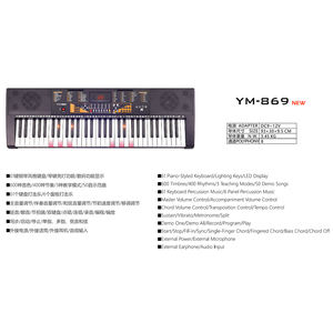 Clavier musical d'enseignement rythmique YM-869 400, 61 touches, piano électronique <span class=keywords><strong>jouet</strong></span>, orgue électronique, <span class=keywords><strong>synthétiseur</strong></span> avec touches lumineuses à vendre - Product Image 2