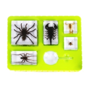 Nhện & bọ cạp paperweight taxidermy mẫu trong món quà nhựa của côn trùng giảng dạy tài nguyên thiên nhiên đồ chơi - Product Image 1