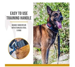 <span class=keywords><strong>Collar</strong></span> de nailon para perro, accesorio ajustable de entrenamiento resistente con asa, nuevo diseño - Product Image 5