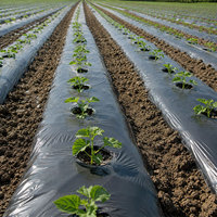 Film plastique agricole noir, épaisseur de 20 microns, pour culture de légumes, couverture de sol, film PE