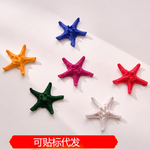 Estrella de Mar Artificial de Resina de 5.5 cm, Adorno de Acuario de Estilo Mediterráneo, Decoración para Bodas - Product Image 5