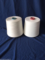 12s 16s 20s 30s 40s 100% Polyester High Tenacity Bleached Yarn for Sewing Knitting Weaving