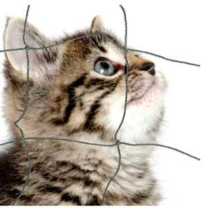 HDPE noeud nylon transparent Balcon Pet <span class=keywords><strong>Chat</strong></span> Sécurité Protection Net Enfants Balcon <span class=keywords><strong>Anti</strong></span> <span class=keywords><strong>Chute</strong></span> Net - Product Image 5