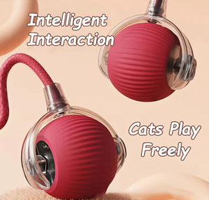 Brinquedos gato quente são automaticamente Provocando gato Bolas e Auto-excitante gato Varas e carrapatos e resistente ao desgaste e mordida Pet Brinquedos - Product Image 3