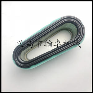 Repuestos y Accesorios para Cortacésped Briggs & Stratton 496894S 493909S 272403S Filtros de Aire - Product Image 4