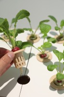 Système de culture hydroponique pour plantes de jardin domestique automatique à effet de serre Lumière LED Jardinière intelligente Pot de fleur Kit d'herbes d'intérieur hydroponique