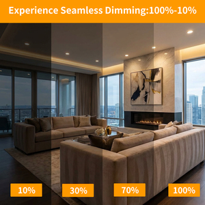 Paquete de 5 Bombillas Halógenas J118 R7S de <span class=keywords><strong>500W</strong></span>, Doble Extremo, Regulables, para Trabajo, Seguridad, Iluminación de Jardines, Lámparas de Pie - Product Image 5