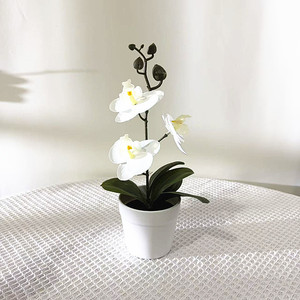Nuevo Bonsái de Phalaenopsis Artificial en Maceta con Tres Flores y Tres Hojas, Película 3D, Planta Artificial en Maceta para Interiores/Restaurantes - Product Image 5