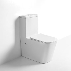 WC monobloc BOAJJ Shore avec siphon en P et en S, double chasse d'eau, pour salle de bain moderne - Product Image 1