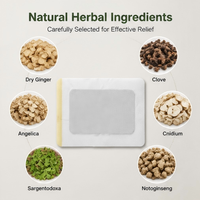 Parche Herbal Medicado de Acción Rápida para Alivio del Dolor de Cuello/Hombro/Costillas/Articulaciones con Calor de 24H y Extractos Herbales Naturales - Venta Directa OEM