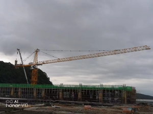 Grue à tour HAISHAN 12T 60M <span class=keywords><strong>Topit</strong></span> QTZ160-HS6024 avec moteur à roulement de boîte de vitesses pour la construction, haute efficacité - Product Image 6