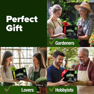 Kit de bonsaï <span class=keywords><strong>en</strong></span> céramique de haute qualité et durable, comprend plusieurs pots de <span class=keywords><strong>fleurs</strong></span> pour la création de bonsaï à la maison ou au jardin - Product Image 4