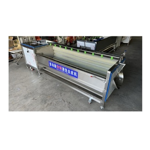 In Stock Electric Stainless Steel Cassava Washing and Peeling Machine - Product Image 5