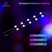 Sumber Cahaya Titik LED RGB 20mm 12V IP67 Tahan Air Digital Node untuk Papan Nama Taman Hiburan dan Dekorasi Acara