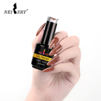 Kit Neissry 60 Couleurs Effet Œil de Chat Clair de Lune AS Kokoist, Coffret de Vernis Gel Réfléchissant Scintillant 9D pour Ongles, pour Professionnels de Salon