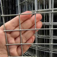 Rouleau de grillage soudé en acier à faible teneur en carbone galvanisé à chaud à mailles carrées pour la construction, les jardins, les fermes et les cages à animaux