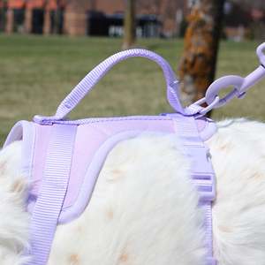 สายรัดสัตว์เลี้ยงสีขาวดำผ้านีโอพรีนควบคุมความสบายใช้งานง่ายและมีสไตล์ - Product Image 4