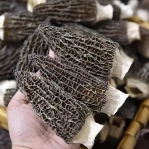 उच्च गुणवत्ता वाले सूखे मोर्चेला एस्कुलेंटा ट्रफ्ल पूरे शीटकेक मशरूम बैग में पैक किया गया और जंगली स्रोत से सूखा - Product Image 3