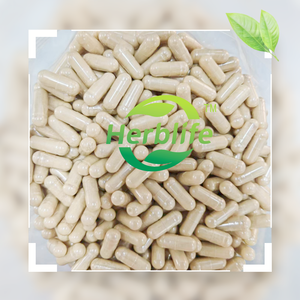 كبسولات إنزيمات هضمية ذات علامة خاصة مع مكمل بروبيوتيك متعدد الإنزيمات بروملين لصحة الأمعاء ودعم الجهاز الهضمي - Product Image 2