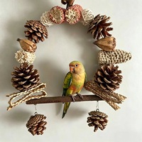Vogelspeelgoed Vogelkooien Hangbruggen Papegaaienschommels Natuurlijk fruit Rotanballen Kleine vogels Entertainment Klimmen Kauwen