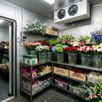 Personnalisé industriellement 0~5 ℃   Chambre froide à économie d'énergie pour la conservation des fruits frais, des fleurs, des produits laitiers et des jus