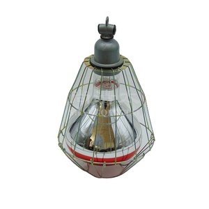 Nuova Lampada Riscaldante a Infrarossi da 175W per Polli, Cuccioli, Rettili, Bestiame e Volatili con Rete - 1 Anno di Garanzia - Product Image 1