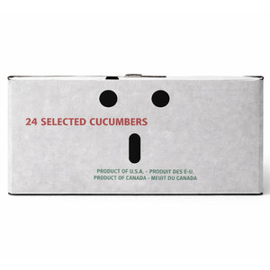 Zware, wasbehandelde golfkartonnen doos voor transport van landbouwproducten met geventileerde panelen en een afsluitbare dekselstructuur - Product Image 3