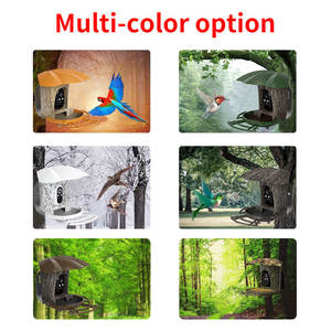 VESAFE 3MP <span class=keywords><strong>Birdhouse</strong></span> kablosuz gece görüş görünüm sistemi kuş yuva Ai akıllı kuş besleyici kamera GÜNEŞ PANELI - Product Image 6
