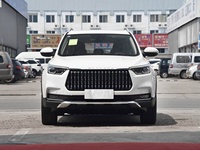 Leopaard Mattu 1.6T 2018, 2019, 2020, Autos Usados Baratos, SUV Grande, SUV Familiar Turboalimentado, Envío Rápido