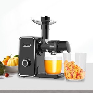 Nhà Máy Bán buôn cao năng suất nước trái cây chậm máy ép trái cây trong văn phòng - Product Image 2