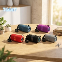 Altavoz Inalámbrico Portátil T&G TG667, Tela Impermeable, Correa para Hombro para Senderismo al Aire Libre, LED RGB, Logotipo Personalizado de Fábrica, Entrega en 7 Días