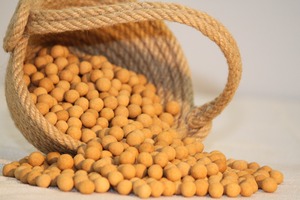 Kacang Kapri Panggang Berlapis Renyah Premium untuk Distributor Camilan Lezat Grosir
