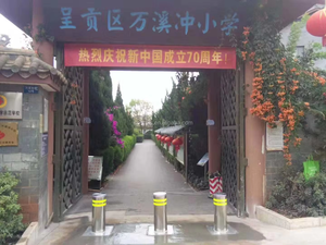 Промышленный электрический гидравлический выдвижной столбик из нержавеющей стали, сверхмощный, с отражающими элементами Diamond Grade, защита IP67, для регулирования движения - Product Image 5