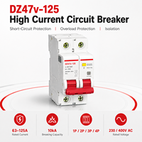 Disjoncteur haute intensité DZ47v-125 MCB 1P 2P 3P 4P 63A 80A 100A 125A 230V 400V AC 10kA Courbe C D Rail DIN