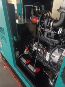 Generador de 250kW Marca China con Motor de 312.5kVA, Alternador de Gasolina/GLP/Biogás, Componentes Principales del Motor Incluidos - Product Image 6