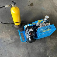 Compresseur d'air électrique portable à haute pression pour la plongée sous-marine, 220v/380v, quatre cylindres, 100L/min, 4500psi, 300bar