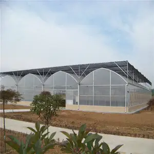Low cost galvanized steel pipe used greenhouse poly tunnel multi span green house for plant growth