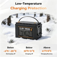 Batterie LiFePO4 12V 100Ah Groupe 31 avec BMS 100A intégré, durée de vie 6000 cycles, rechargeable, pour systèmes solaires, VR, applications marines et fourgons