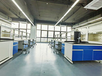 Banc de laboratoire de culture tissulaire de conception moderne résistant chimiquement pour l'analyse de métaux traces dans l'atelier et l'école d'hôpital